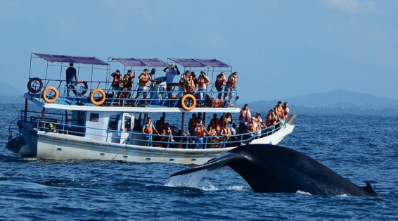 Click the image or more button to view schedule and notice