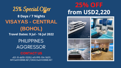 25% special offer - Visayas- Central 8 days / 7 nights 