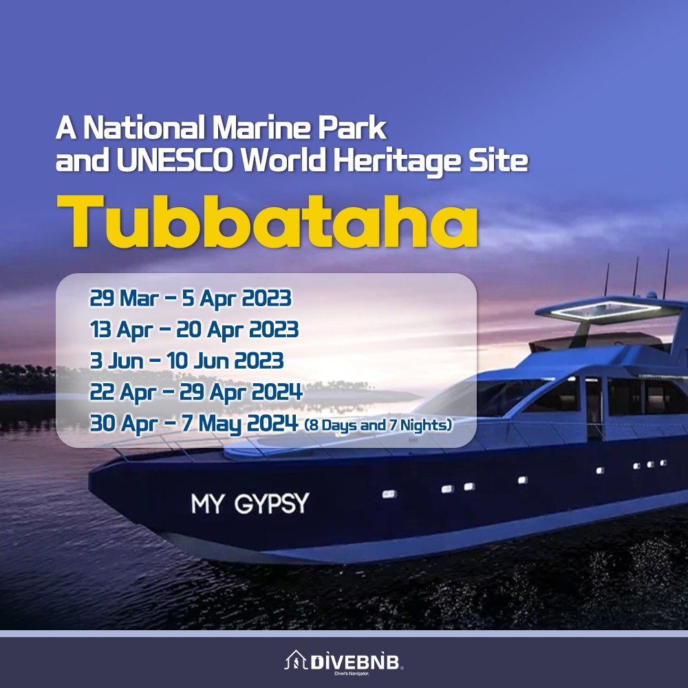 Tubbataha MV GYPSY Liveaboard special trip  ( 2023 )