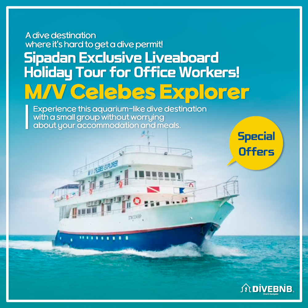 Sipadan Exclusive Liveaboard Holiday Tour for Office Workers! M/V Celebes Explorer