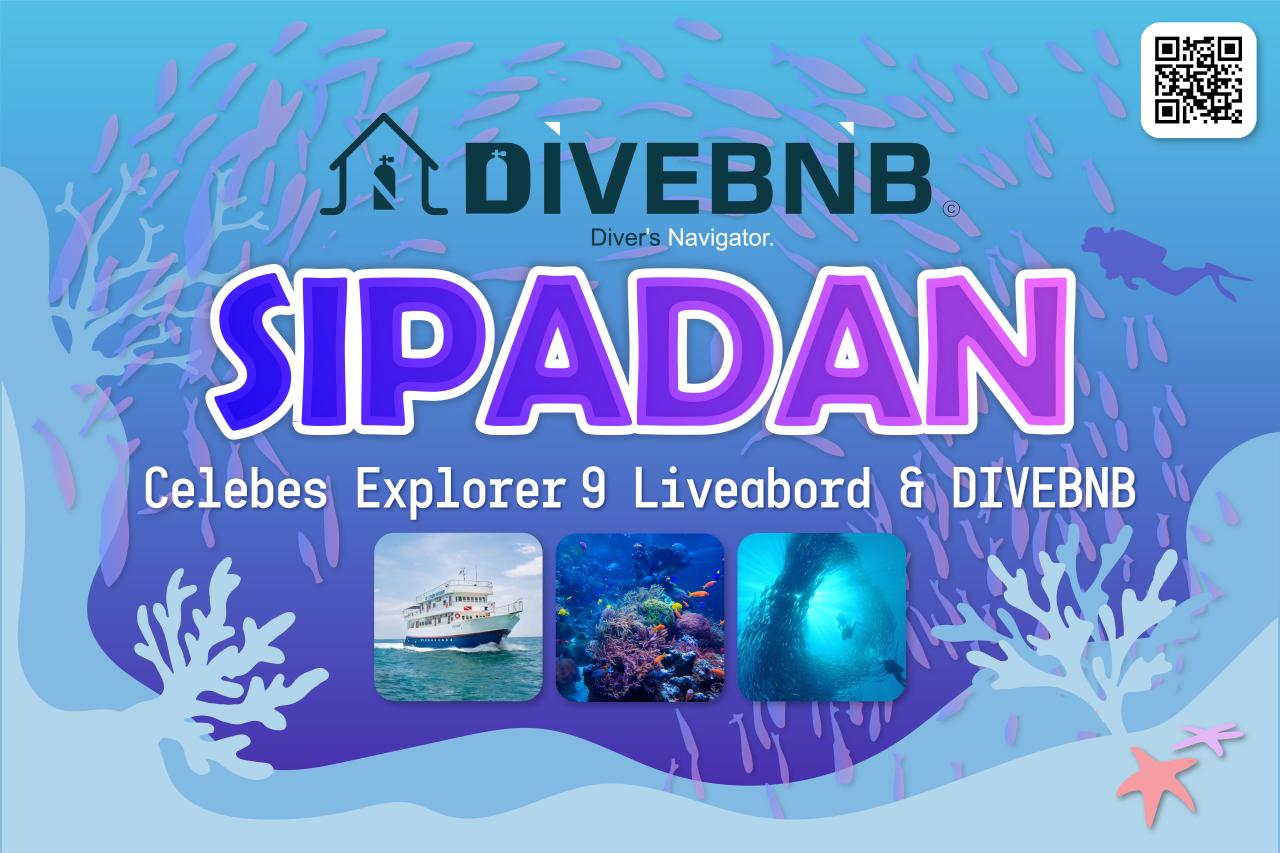 SIPADAN June Tour (Ho Young-sung)