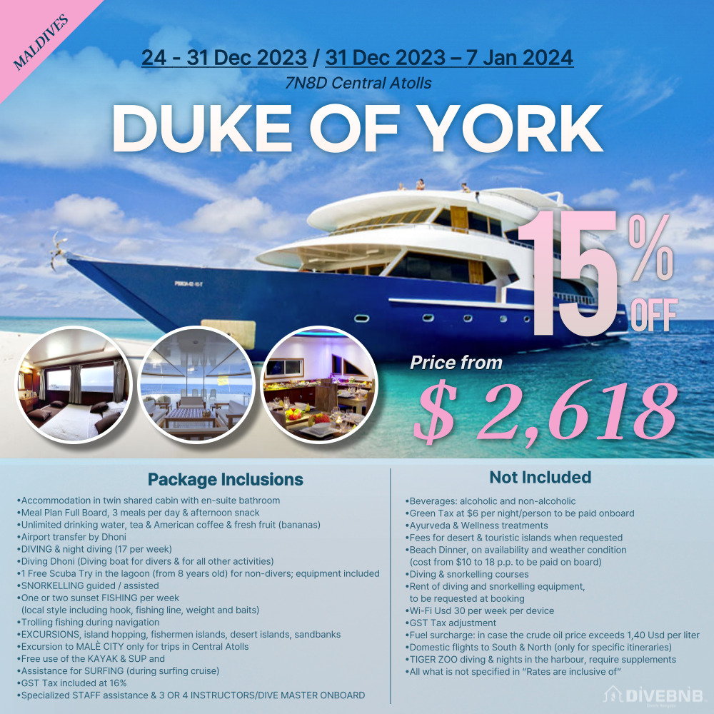 Click the image or more button to view schedule and notice