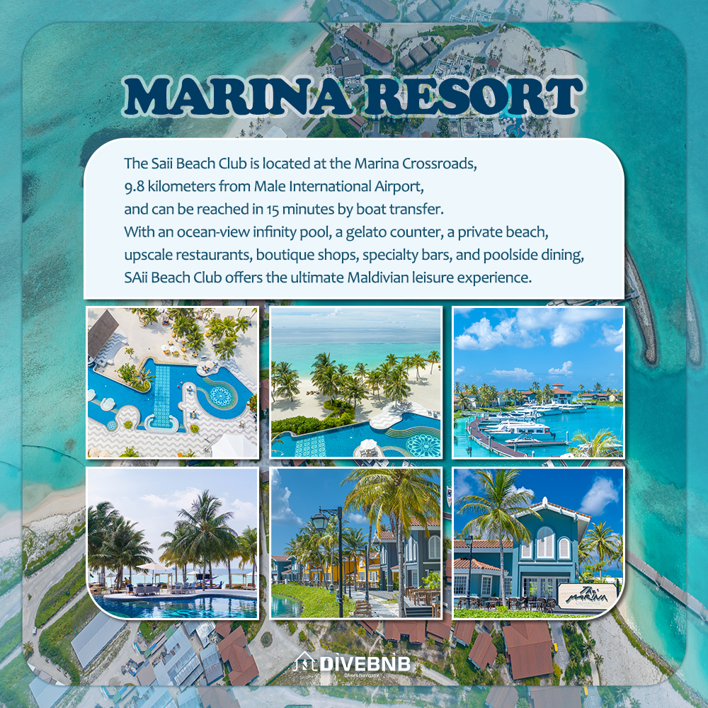 Click the image or more button to view schedule and notice
