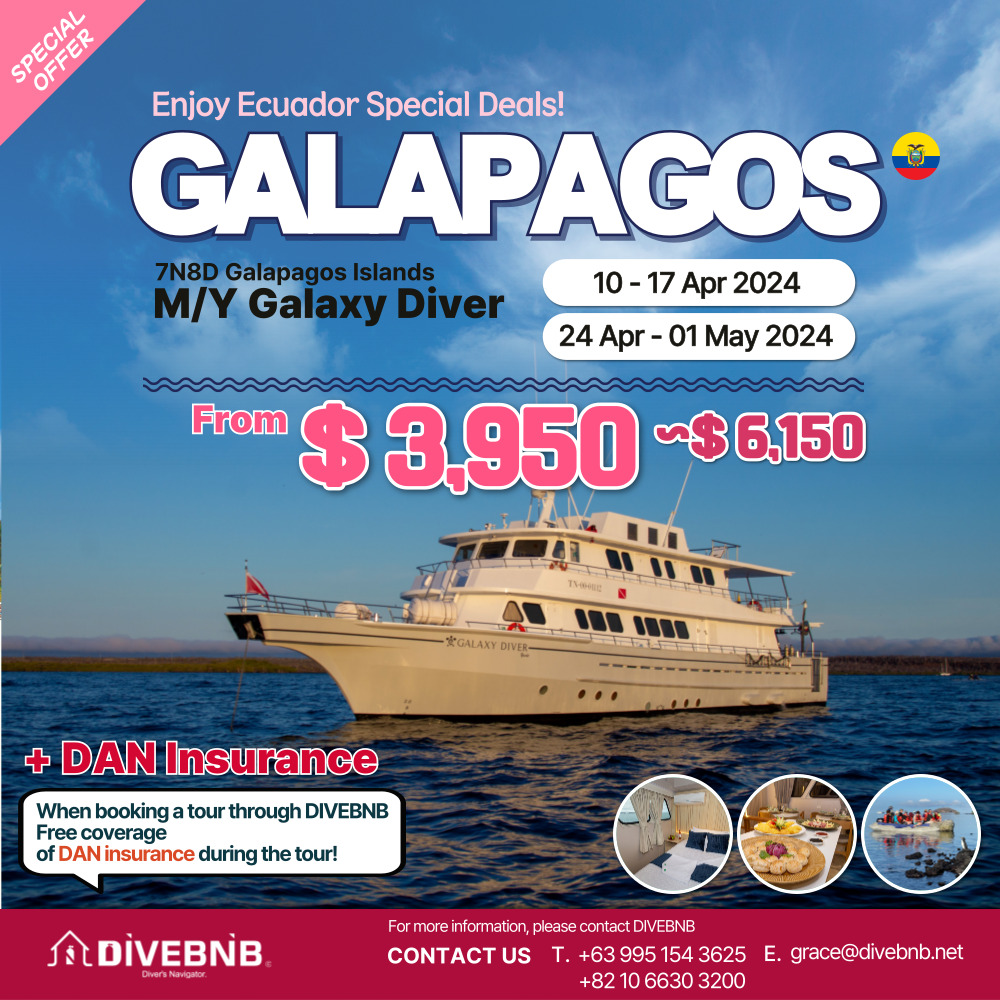 M/Y GALAXY DIVER 20% OFF( 10 Apr - 17 Apr / 24 Apr - 01 May 2024 )