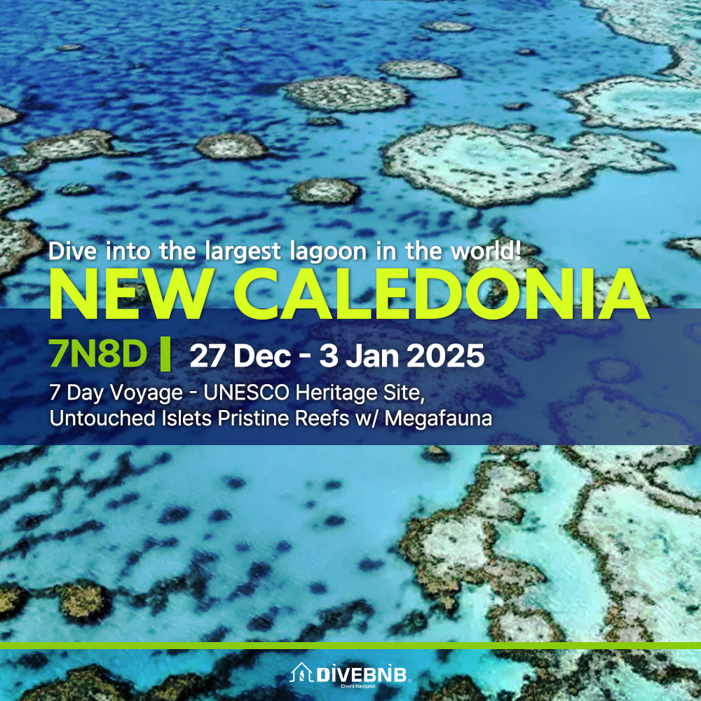 NEW CALEDONIA ( 27 Dec 2024 - 3 Jan 2025 ) 7N8D 