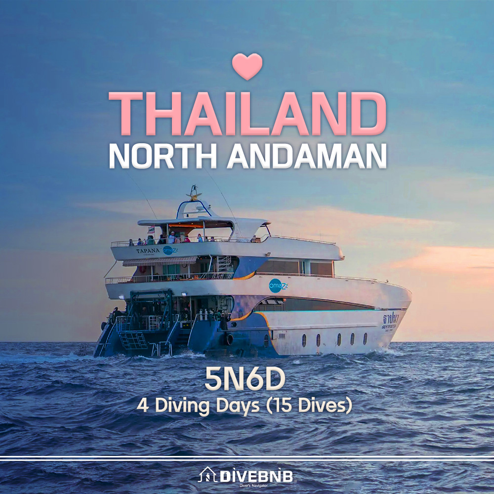 MV TAPANA CATAMARAN 5N6D 4 Diving Days