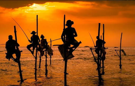 Click the image or more button to view schedule and notice