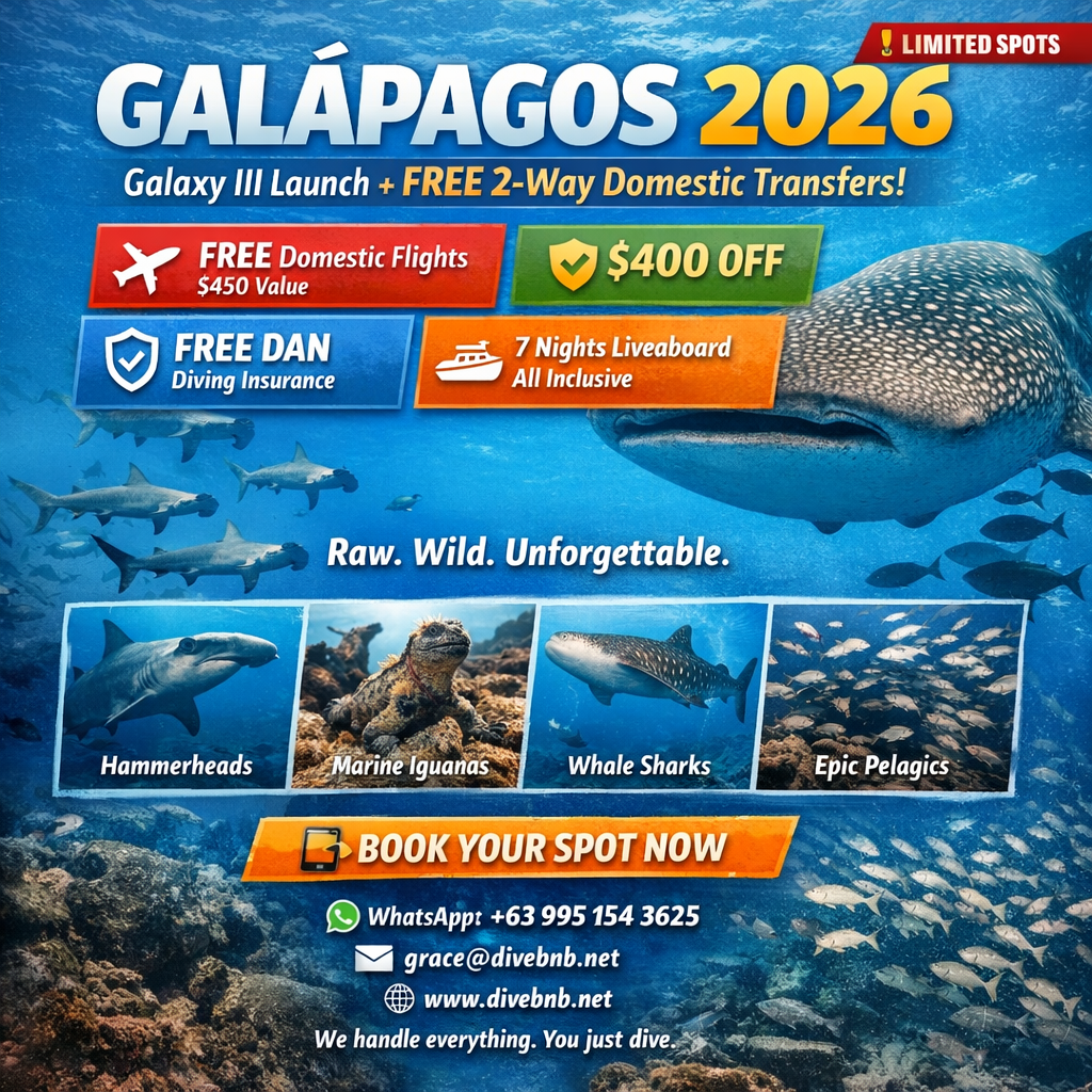 Click the image or more button to view schedule and notice