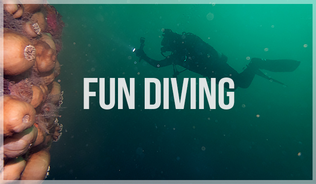 Click the image or more button to view schedule and notice