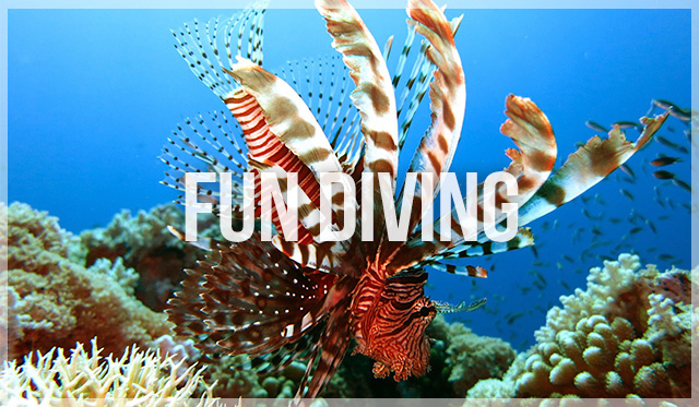 Click the image or more button to view schedule and notice