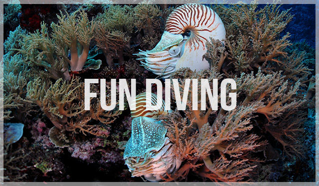 Click the image or more button to view schedule and notice
